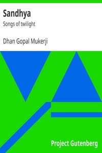 Sandhya book cover