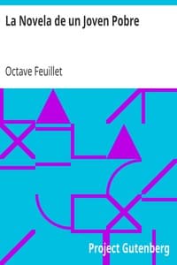 La Novela de un Joven Pobre book cover