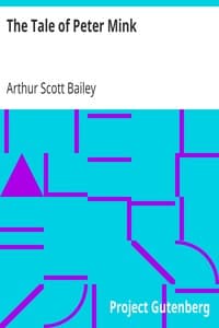 The Tale of Peter Mink book cover
