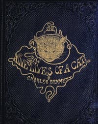 The Nine Lives of A Cat: A Tale of Wonder book cover