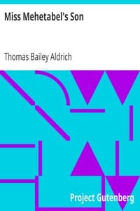 Miss Mehetabel's Son book cover