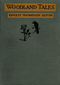 Woodland Tales