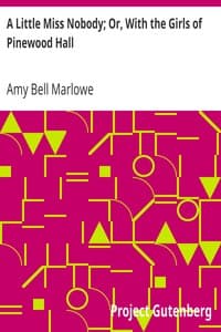 A Little Miss Nobody; Or, With the Girls of Pinewood Hall book cover
