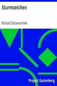 Sturmzeichen book cover