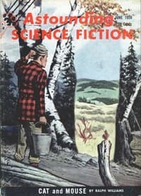 Cat and Mouse book cover