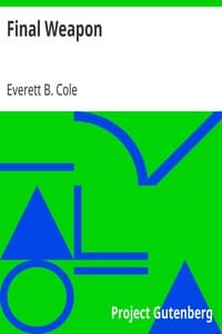 Final Weapon book cover