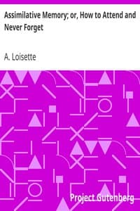 Assimilative Memory; or, How to Attend and Never Forget book cover
