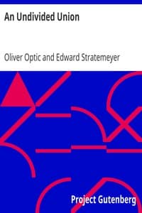 An Undivided Union book cover