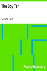 The Boy Tar book cover