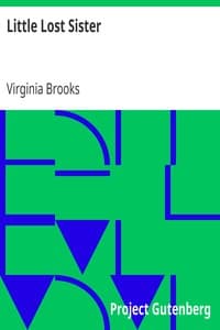 Little Lost Sister book cover