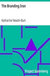 The Branding Iron book cover