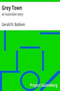 Grey Town book cover