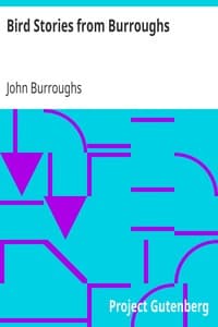 Bird Stories from Burroughs
Sketches of Bird Life Taken from the Works of John Burroughs