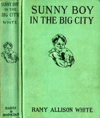 Sunny Boy in the Big City book cover