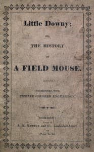 Little Downy: The History of a Field-Mouse