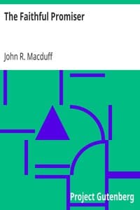 The Faithful Promiser book cover