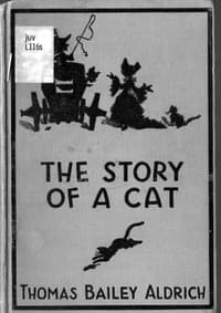 The Story of a Cat
