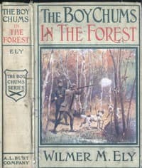 The Boy Chums in the Forest; Or, Hunting for Plume Birds in the Florida Everglades book cover