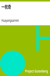 一枕奇 book cover