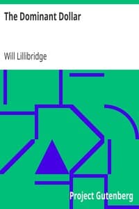 The Dominant Dollar book cover