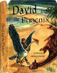 David and the Phoenix book cover