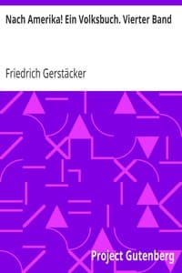 Nach Amerika! Ein Volksbuch. Vierter Band