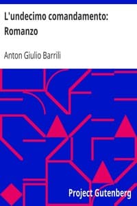 L'undecimo comandamento: Romanzo book cover