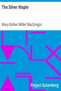 The Silver Maple book cover