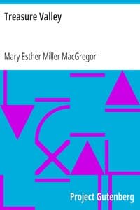 Treasure Valley book cover