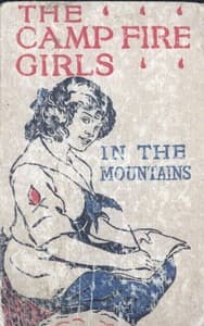 The Camp Fire Girls in the Mountains; Or, Bessie King's Strange Adventure book cover