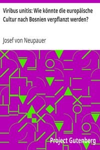 Viribus unitis: Wie könnte die europäische Cultur nach Bosnien verpflanzt werden?