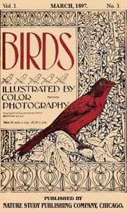 Birds, Illustrated by Color Photography, Vol. 1, No. 3
March 1897