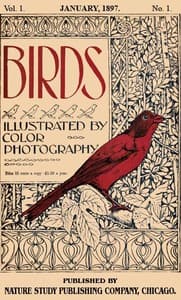 Birds, Illustrated by Color Photography, Vol. 1, No. 1
January, 1897