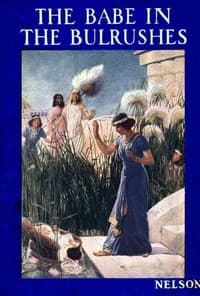 The Babe in the Bulrushes book cover
