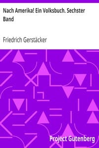 Nach Amerika! Ein Volksbuch. Sechster Band