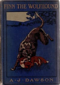 Finn the wolfhound book cover