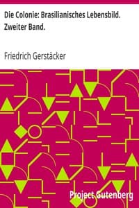 Die Colonie: Brasilianisches Lebensbild. Zweiter Band. book cover