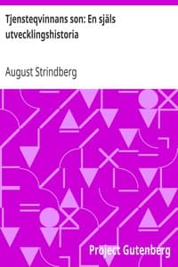 Tjensteqvinnans son: En själs utvecklingshistoria book cover