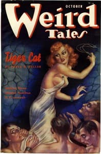 The Homicidal Diary book cover