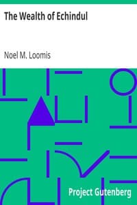 The Wealth of Echindul book cover