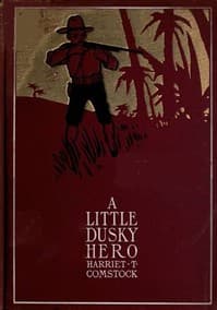A Little Dusky Hero book cover