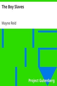 The Boy Slaves book cover