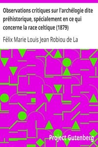 Observations critiques sur l'archélogie dite préhistorique, spécialement en ce qui concerne la race celtique (1879)