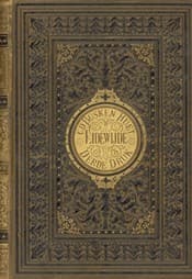 Lidewyde book cover