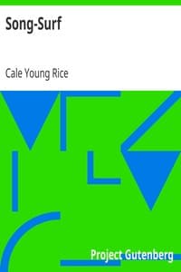 Song-Surf book cover