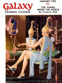 The Tunnel Under the World book cover
