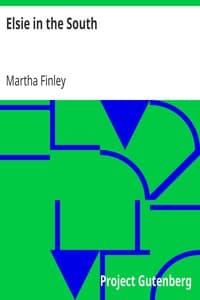 Elsie in the South book cover