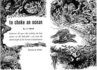 To Choke an Ocean book cover