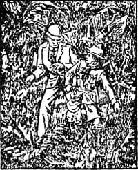 The Boy Scouts for Uncle Sam