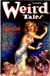 Tiger Cat book cover